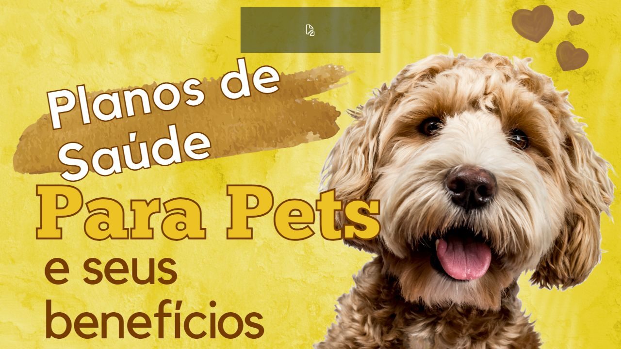 Planos De Sa De Para Pets E Seus Benef Cios Planos De Sa De Rjmid