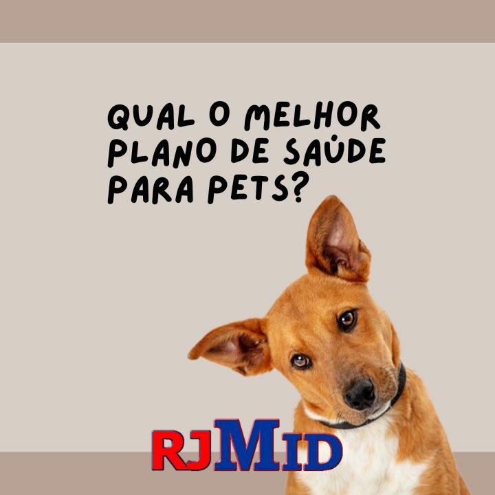 Qual O Melhor Plano De Sa De Para Pets